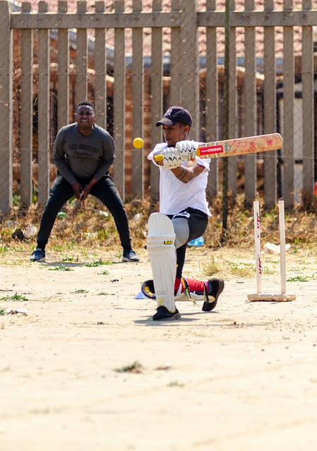 Disaster Relief Efforts through Cricket: Mobilizing Support in Times of Crisis